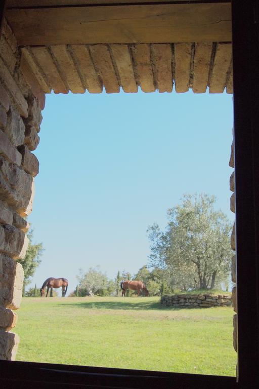 Podere Campovecchio Rapale Chambre photo